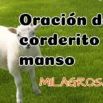 Oración del corderito manso