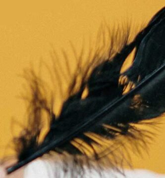 Una pluma negra en la puerta